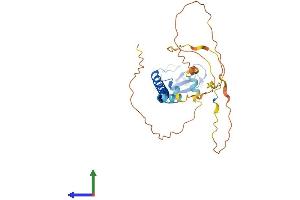 AlphaFold protein structure predicition of Mouse Recombinant Rnf212 Protein, UniprotID F6TQD1