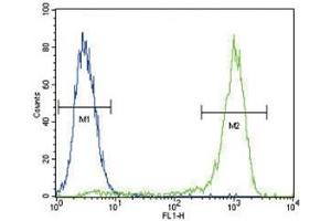 Flow Cytometry (FACS) image for anti-V-Akt Murine Thymoma Viral Oncogene Homolog 1 (AKT1) (AA 428-457) antibody (ABIN3029453)