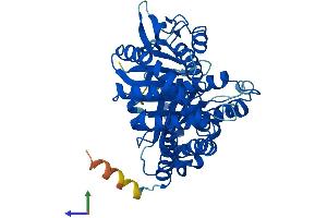 Protein Structure (PS) image for Tubulin beta 4a (TUBB4A) (AA 1-444) protein (His tag) (ABIN7561040)