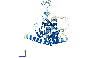 AlphaFold protein structure predicition of Mouse Recombinant Exosc6 Protein, UniprotID Q8BTW3