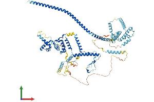 Protein Structure (PS) image for CDC5 Cell Division Cycle 5-Like (S. Pombe) (CDC5L) (AA 1-802) protein (His tag) (ABIN7564035)