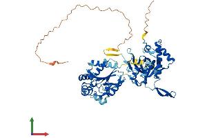Protein Structure (PS) image for Uridine-Cytidine Kinase 1-Like 1 (UCKL1) (AA 1-548) protein (His tag) (ABIN7544950)