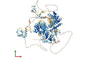 Protein Structure (PS) image for Zinc Finger, MYM-Type 6 (ZMYM6) (AA 1-1325) protein (His tag) (ABIN7556152)