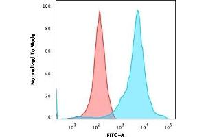 Flow Cytometric Analysis of HEK293 cells using Neurofilament Monoclonal Antibody (RT-97 + NR-4) followed by goat anti-Mouse IgG-CF488 (Blue); Isotype control (Red). (NEFH & NEFL 抗体)