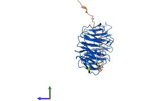 Protein Structure (PS) image for Serine/threonine Kinase Receptor Associated Protein (STRAP) (AA 1-350) protein (His tag) (ABIN7565286)
