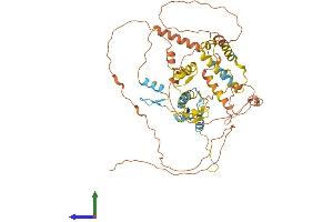 Protein Structure (PS) image for Zinc Finger, Imprinted 2 (ZIM2) (AA 1-527) protein (His tag) (ABIN7545778)