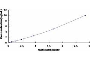 Typical standard curve (DDX5 ELISA 试剂盒)