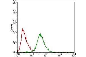 Flow cytometric analysis of Hela cells using NPC1 mouse mAb (green) and negative control (red). (NPC1 抗体  (AA 34-174))