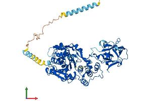 AlphaFold protein structure predicition of Human Recombinant GALNT17 Protein, UniprotID Q6IS24