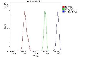 Flow Cytometry analysis of U937 cells using anti-APEX1 antibody (ABIN3043785). (APEX1 抗体  (AA 2-318))