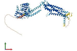 Protein Structure (PS) image for Myxovirus Resistance Protein 1 (MX1) (AA 1-662) protein (His tag) (ABIN7554645)
