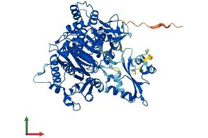 Protein Structure (PS) image for Acetoacetyl-CoA Synthetase (AACS) (AA 1-672) protein (His tag) (ABIN7551785)