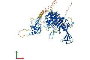 Protein Structure (PS) image for Ubiquitin Specific Peptidase 3 (USP3) (AA 1-520) protein (His tag) (ABIN7544920)