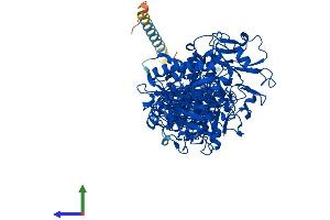 AlphaFold protein structure predicition of Human Recombinant ENPP3 Protein, UniprotID O14638 (ENPP3 Protein (AA 1-875) (His tag))