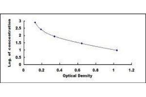 Prostaglandin F2alpha ELISA Kit