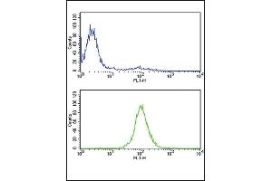 Flow Cytometry (FACS) image for anti-Triosephosphate Isomerase 1 (TPI1) (AA 68-96), (N-Term) antibody (ABIN389457)