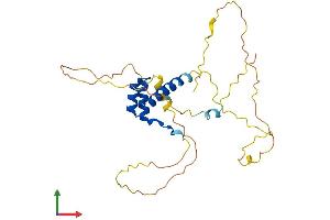 Protein Structure (PS) image for NK2 Homeobox 2 (Nkx2-2) (AA 1-273) protein (His tag) (ABIN7563248)
