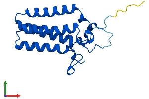 Protein Structure (PS) image for ORM1-Like 2 (ORMDL2) (AA 1-153) protein (His tag) (ABIN7560591)