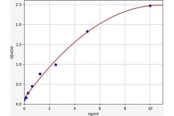 CDK1 ELISA 试剂盒