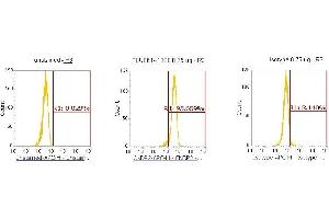 Flow Cytometry (FACS) image for anti-CNDP Dipeptidase 2 (Metallopeptidase M20 Family) (CNDP2) (AA 1-475) antibody (APC) (ABIN5565179) (CNDP2 抗体  (AA 1-475) (APC))