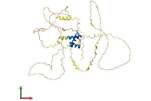 Protein Structure (PS) image for Iroquois Homeobox Protein 5 (IRX5) (AA 1-483) protein (His tag) (ABIN7554170)