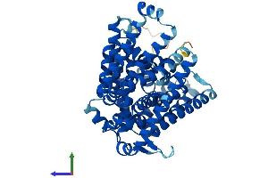 AlphaFold protein structure predicition of Mouse Recombinant Hhat Protein, UniprotID Q8BMT9