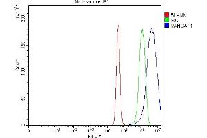 Flow Cytometry analysis of U87 cells using anti-RANGAP1 antibody (ABIN7600225). (RANGAP1 抗体  (AA 165-587))