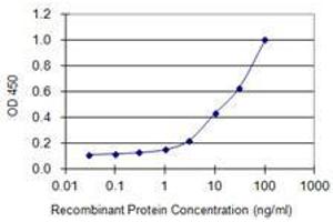 Detection limit for recombinant GST tagged C10orf63 is 0. (ENKUR 抗体  (AA 1-256))