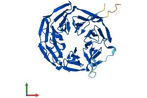 Protein Structure (PS) image for Kelch Domain Containing 8B (KLHDC8B) (AA 1-354) protein (His tag) (ABIN7548820)