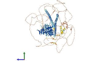 AlphaFold protein structure predicition of Mouse Recombinant Tp53bp2 Protein, UniprotID Q8CG79