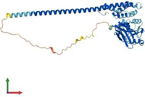 Protein Structure (PS) image for STAM Binding Protein (STAMBP) (AA 1-424) protein (His tag) (ABIN7555604)