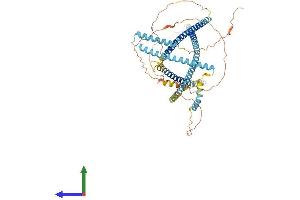 Protein Structure (PS) image for Testis-Specific serine Kinase Substrate (TSKS) (AA 1-585) protein (His tag) (ABIN7562435)
