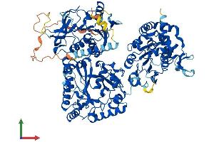 Protein Structure (PS) image for N-Deacetylase/N-Sulfotransferase (Heparan Glucosaminyl) 1 (NDST1) (AA 1-882) protein (His tag) (ABIN7563721)