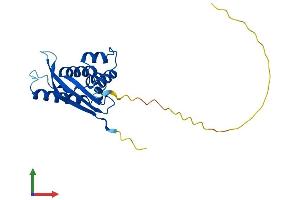 Protein Structure (PS) image for Sorting Nexin 10 (SNX10) (AA 1-201) protein (His tag) (ABIN7546073)
