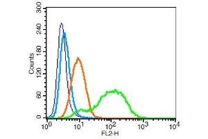 Human U937 cells probed with CD46/MCP Polyclonal Antibody, Unconjugated ( 	 at 1:100 for 30 minutes followed by incubation with a PE Conjugated secondary (green) for 30 minutes compared to control cells (blue), secondary only (light blue) and isotype control (orange). (CD46 抗体  (AA 251-355))