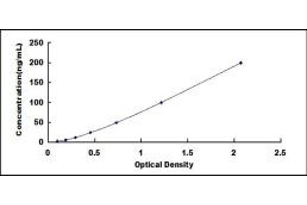 IDH1 ELISA 试剂盒