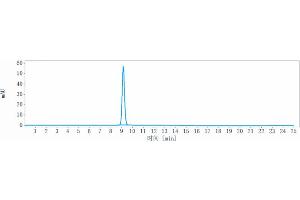 The purity of Anti-LAG3 / CD223 Reference Antibody (ieramilimab) is more than 95 % , determined by SEC-HPLC. (Recombinant LAG3 (Ieramilimab Biosimilar) 抗体)
