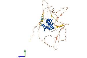 Protein Structure (PS) image for NEDD4 Binding Protein 2-Like 2 (N4BP2L2) (AA 1-583) protein (His tag) (ABIN7549620)
