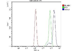 Flow Cytometry analysis of Raji cells using anti-GGA3 antibody (ABIN7602337).