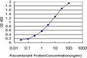 Detection limit for recombinant GST tagged PRKCI is approximately 0. (PKC iota 抗体  (AA 1-100))