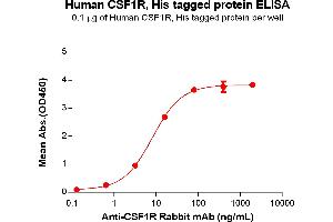 ELISA image for Colony Stimulating Factor 1 Receptor (CSF1R) (AA 20-514) protein (His tag) (ABIN6961125)