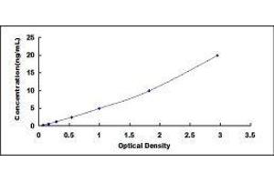 Myelin Associated Glycoprotein (MAG) ELISA Kit