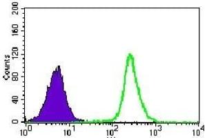 Flow cytometric analysis of K562 cells using PPP2CB mouse mAb (green) and negative control (purple). (PPP2CB 抗体)