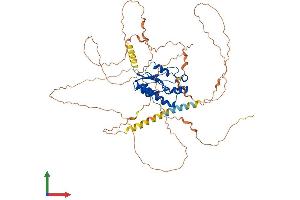 Protein Structure (PS) image for NEDD4 Binding Protein 2-Like 2 (N4BP2L2) (AA 1-575) protein (His tag) (ABIN7559404)