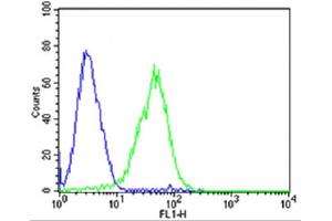 Flow cytometric analysis of HepG2 cells using (Mouse) Dlk1 Antibody (C-term)(green, Cat(ABIN6243158 and ABIN6577630)) compared to an isotype control of mouse IgG2b(blue). (DLK1 抗体  (C-Term))