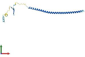 Protein Structure (PS) image for Stathmin-Like 2 (STMN2) (AA 1-179) protein (His tag) (ABIN7544047)