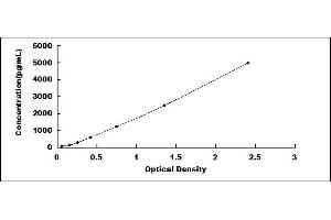 Typical standard curve (Latexin ELISA 试剂盒)