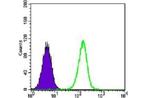 Flow Cytometry (FACS) image for anti-Transcription Factor 3 (E2A Immunoglobulin Enhancer Binding Factors E12/E47) (TCF3) antibody (ABIN1724729)