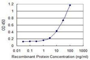 Detection limit for recombinant GST tagged PTGES3 is 0. (PTGES3 抗体  (AA 1-160))