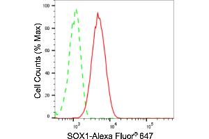 Flow cytometric analysis of SOX1 expression in C2C12 cells using SOX1 antibody (ABIN7800971), 1:2,000). (Recombinant SOX1 抗体)